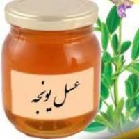فروش عسل تک گیاه یونجه(مازندران)
