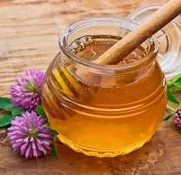 فروش عسل شهد و شان شبدر