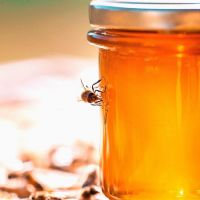 عسل طبیعی گون گز انگبین