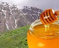 فروش عسل طبیعی ساکارز زیر0.5