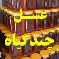 فروش عسل کوهی چند گیاه ساکارز زیر 1