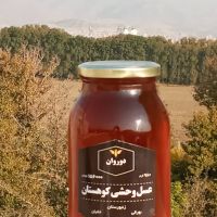 عسل وحشی کوهستان