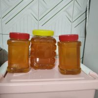 عسل طبیعی شامادشت