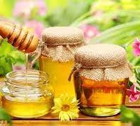 فروش عسل گزانگبین طبیعی