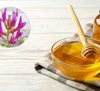 فروش عسل گون تضمینی و اعلاء