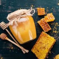 عسل تغذیه فروش یکجا