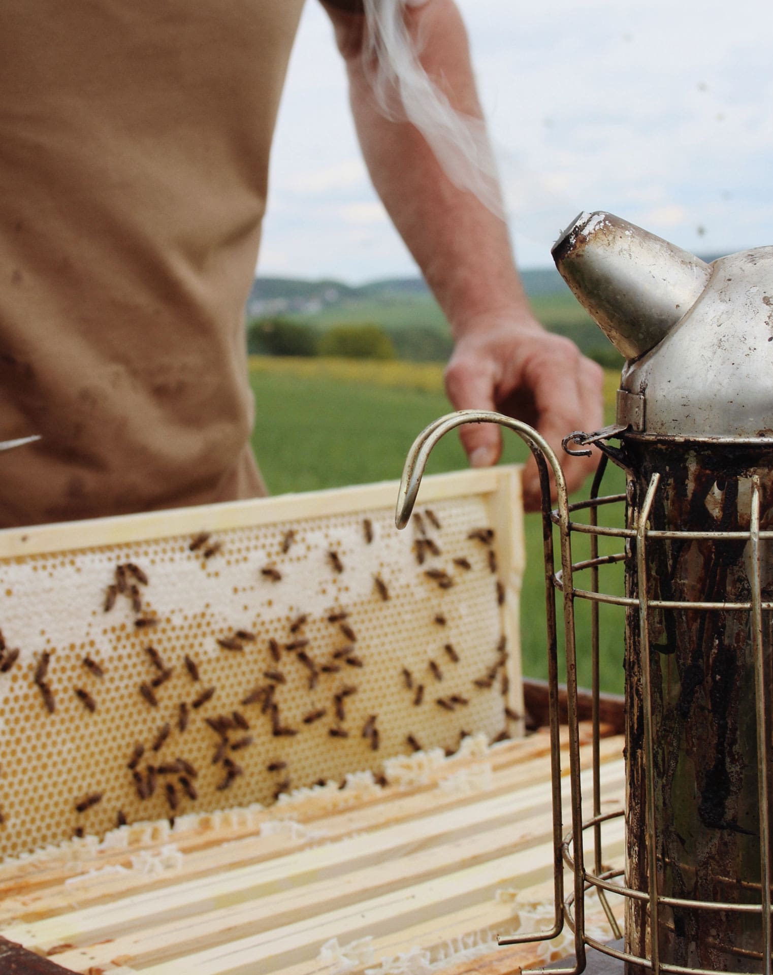 نیازمندی های عسل